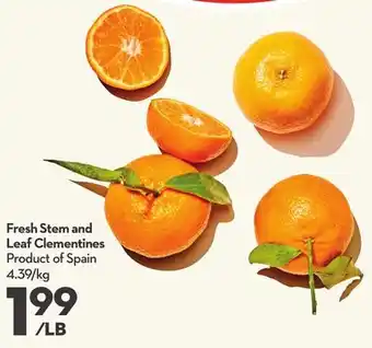 Longo's Fresh Stem and Leaf Clementines offer