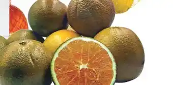Real Canadian Superstore CHOCOLATE ORANGES offer