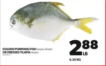 Real Canadian Superstore GOLDEN POMPANO FISH, WHOLE OR DRESSED TILAPIA offer