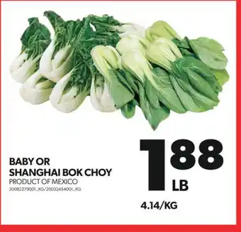 Real Canadian Superstore BABY OR SHANGHAI BOK CHOY offer