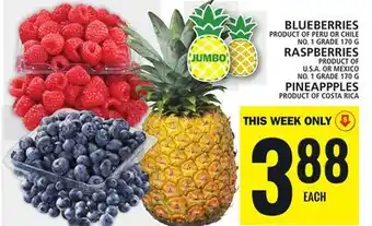 Food Basics BLUEBERRIES or RASPBERRIES or PINEAPPPLES offer