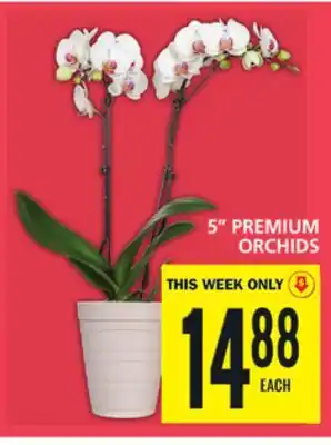 Food Basics 5 PREMIUM ORCHIDS offer