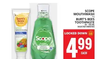 Food Basics SCOPE MOUTHWASH OR BURT'S BEES TOOTHPASTE offer