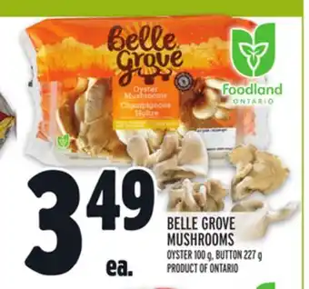Metro BELLE GROVE MUSHROOMS offer