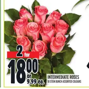 Metro INTERMEDIATE ROSES offer