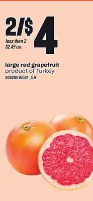 Loblaws LARGE RED GRAPEFRUIT offer
