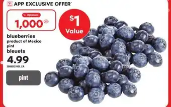 Independent Grocer BLUEBERRIES, pint offer