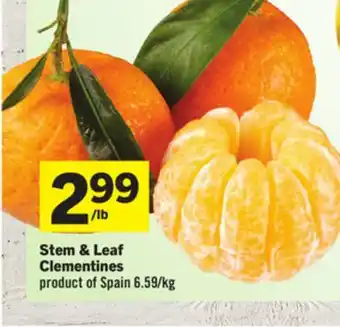 Foodland Stem & Leaf Clementines product of Spain offer