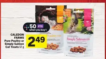 Foodland CALEDON FARMS Pure Poultry or Simply Salmon Cat Treats 57 g offer