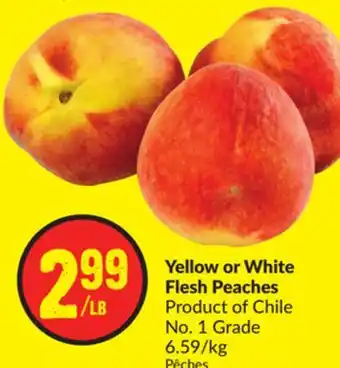 Chalo FreshCo Yellow or White Flesh Peaches Product of Chile No. 1 Grade 6.59/kg offer