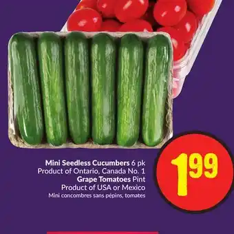 Chalo FreshCo Mini Seedless Cucumbers 6 pk Product of Ontario, Canada No. 1 Grape Tomatoes Pint Product of USA or Mexico offer
