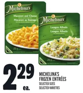 Metro MICHELINA'S FROZEN ENTRÉES offer