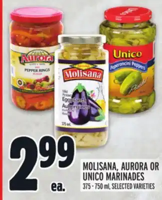 Metro MOLISANA, AURORA OR UNICO MARINADES offer