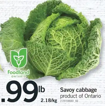 Fortinos SAVOY CABBAGE offer