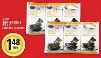 Food Basics Y&Y SEA GREENS offer
