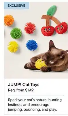 Petvalu JUMP! Cat Toys offer