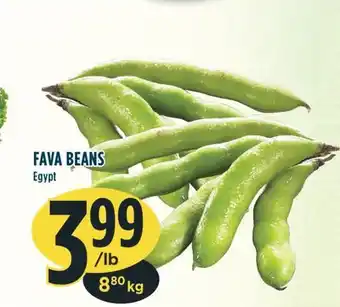 Marché Adonis FAVA BEANS offer