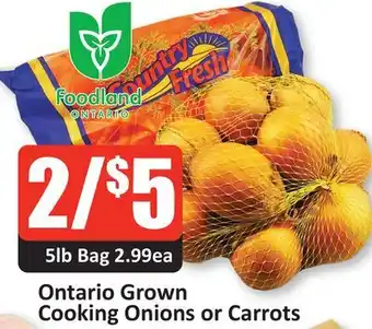 Starsky Ontario Grown Cooking Onions or Carrots offer