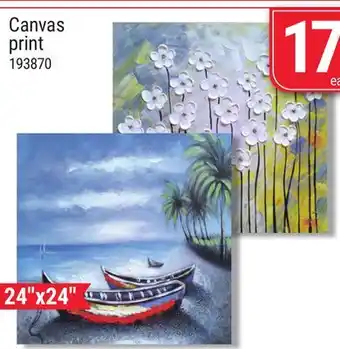 Rossy Canvas print offer