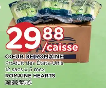 Kim Phat ROMAINE HEARTS offer