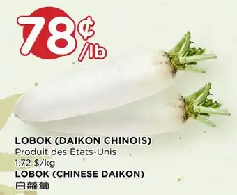 Kim Phat LOBOK (CHINESE DAIKON) offer