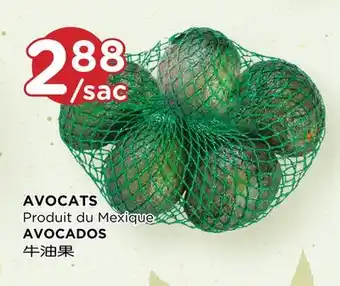 Kim Phat AVOCADOS offer