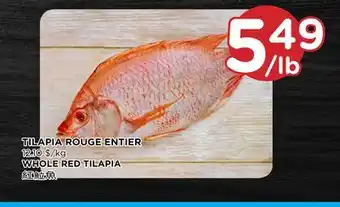 Kim Phat WHOLE RED TILAPIA offer