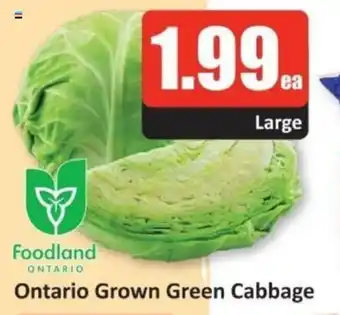 Starsky Ontario Grown Green Cabbage offer