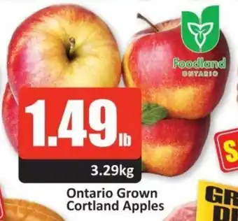 Starsky Ontario Grown Cortland Apples offer