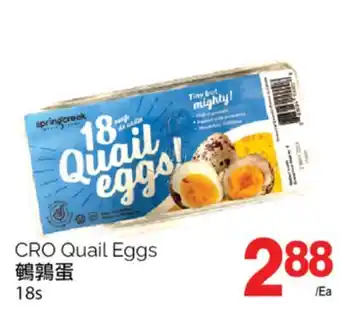 T&T Supermarket CRO QUAIL EGGS, 18s offer