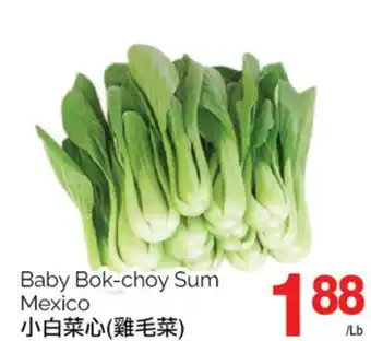 T&T Supermarket BABY BOK-CHOY SUM offer