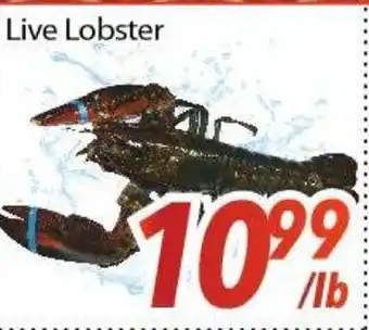 Bestco Food Mart Live Lobster offer