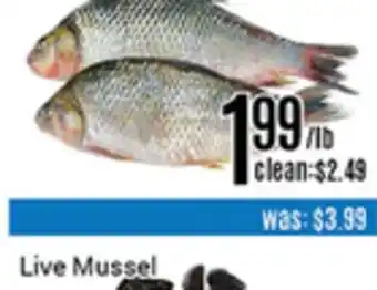 Nations Fresh Foods Live Mussel offer