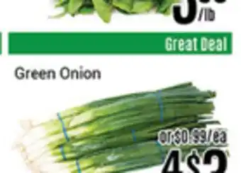 Nations Fresh Foods Green Onion offer