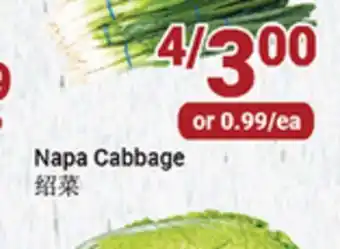 Oceans Fresh Food Market NAPA CABBAGE offer