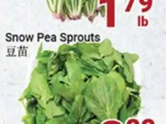 Oceans Fresh Food Market Snow Pea Sprouts offer