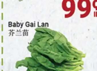 Oceans Fresh Food Market BABY GAI LAN offer