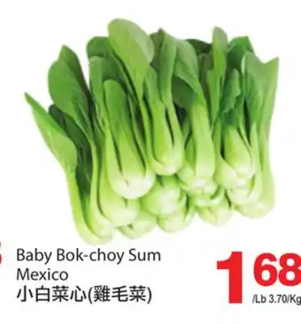 T&T Supermarket BABY BOK-CHOY SUM offer