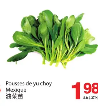 T&T Supermarket POUSSES DE YU CHOY offer