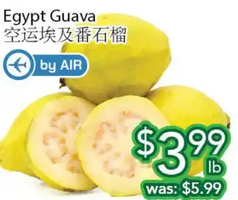 Ample Food Market Egypt Guava offer