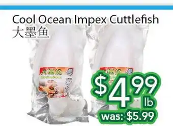 Ample Food Market Cool Ocean Impex Cuttlefish offer