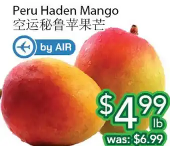 Ample Food Market Peru Haden Mango offer