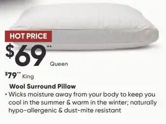 Sleep Country Wool Surround Pillow offer