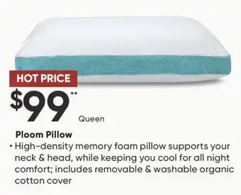 Dormez Vous Ploom Pillow offer