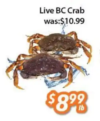 Ample Food Market Live BC Crab offer