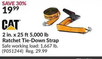 Princess Auto 2 in. x 25 ft5,000 lb Ratchet Tie-Down Strap offer