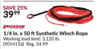 Princess Auto 1/4 in. x 50 ft Synthetic Winch Rope offer