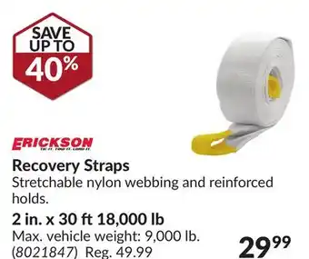 Princess Auto Recovery Straps 2 in. x 30 ft 18,000 lb offer