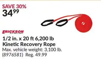 Princess Auto 1/2 in. x 20 ft6,200 lb Kinetic Recovery Rope offer