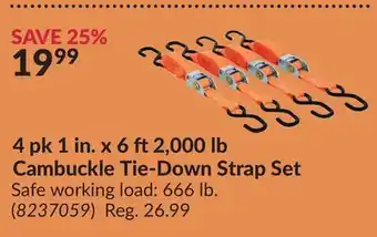 Princess Auto Cambuckle Tie-Down Strap Set offer